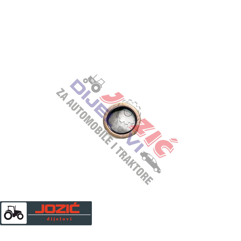 Daisy on the Ohoopee